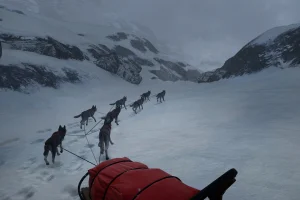 WILL: Follow The Light